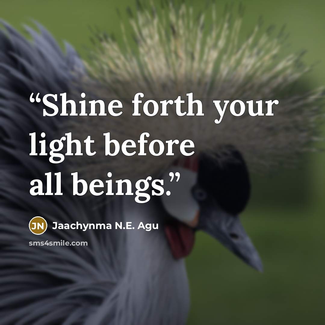 “Shine forth your light before all beings.” quote by Jaachynma N.E. Agu