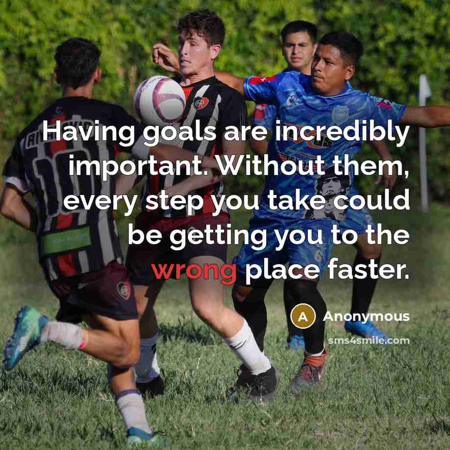 “Having goals are incredibly important. Without them, every step you take could be getting you to the wrong place faster.” quote by Anonymous