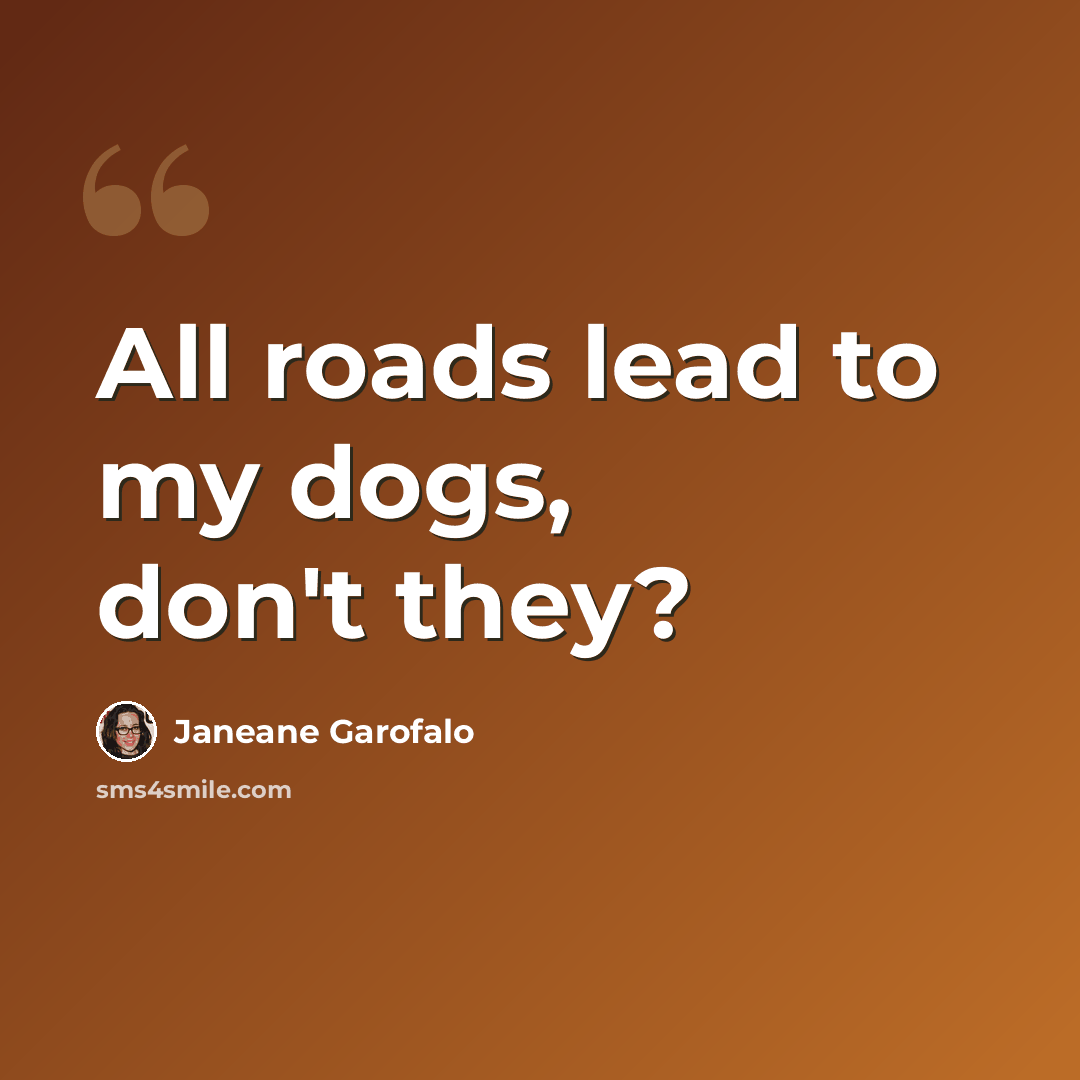 “All roads lead to my dogs, don't they?” quote by Janeane Garofalo