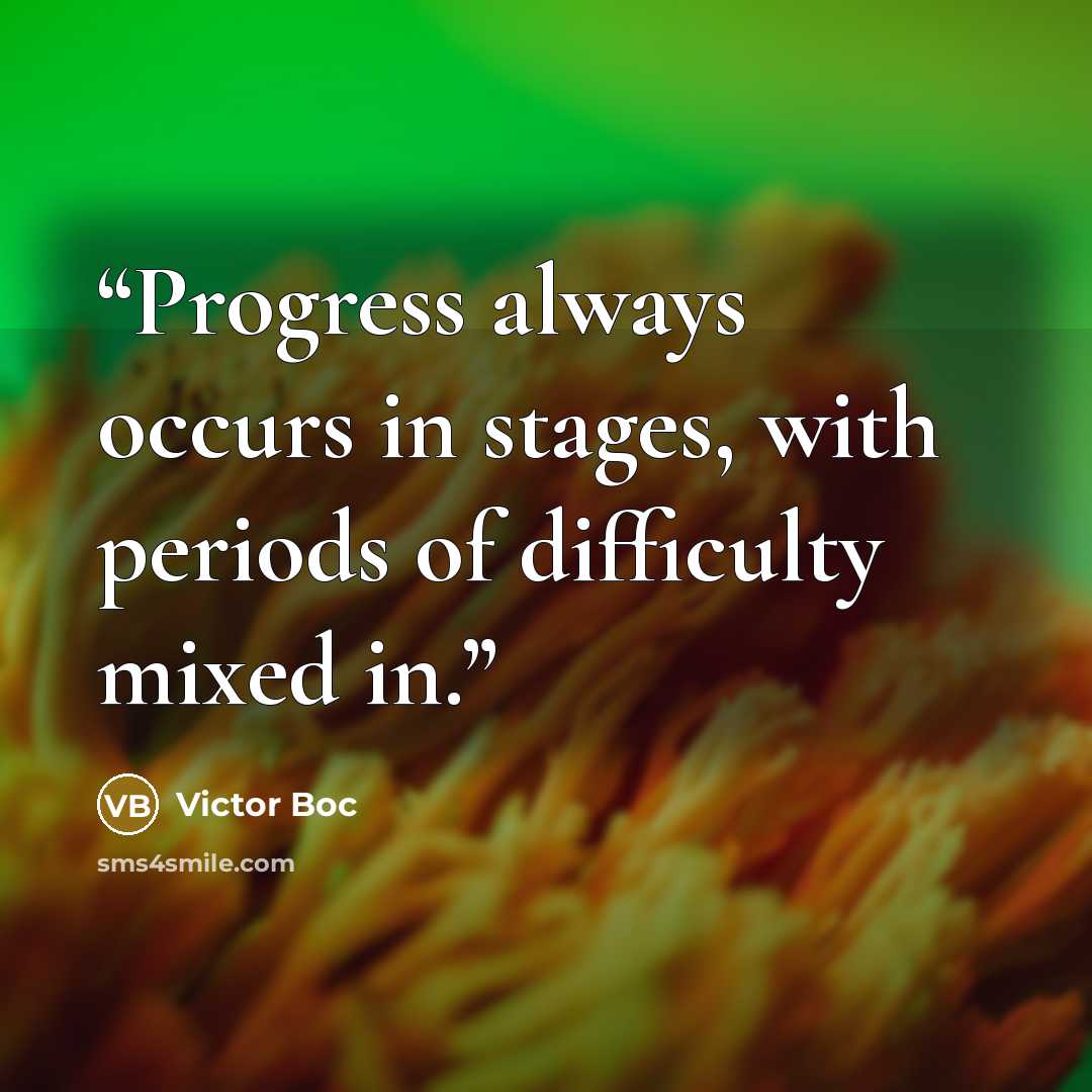 “Progress always occurs in stages, with periods of difficulty mixed in.” quote by Victor Boc
