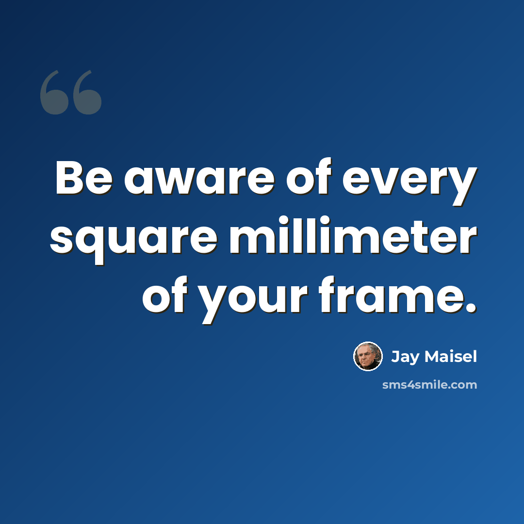“Be aware of every square millimeter of your frame.” quote by Jay Maisel