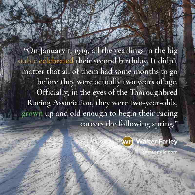 “On January 1, 1919, all the yearlings in the big stable celebrated their second birthday. It didn’t matter that all of them had some months to go before they were actually two years of age. Officially, in the eyes of the Thoroughbred Racing Association, they were two-year-olds, grown up and old…” quote by Walter Farley
