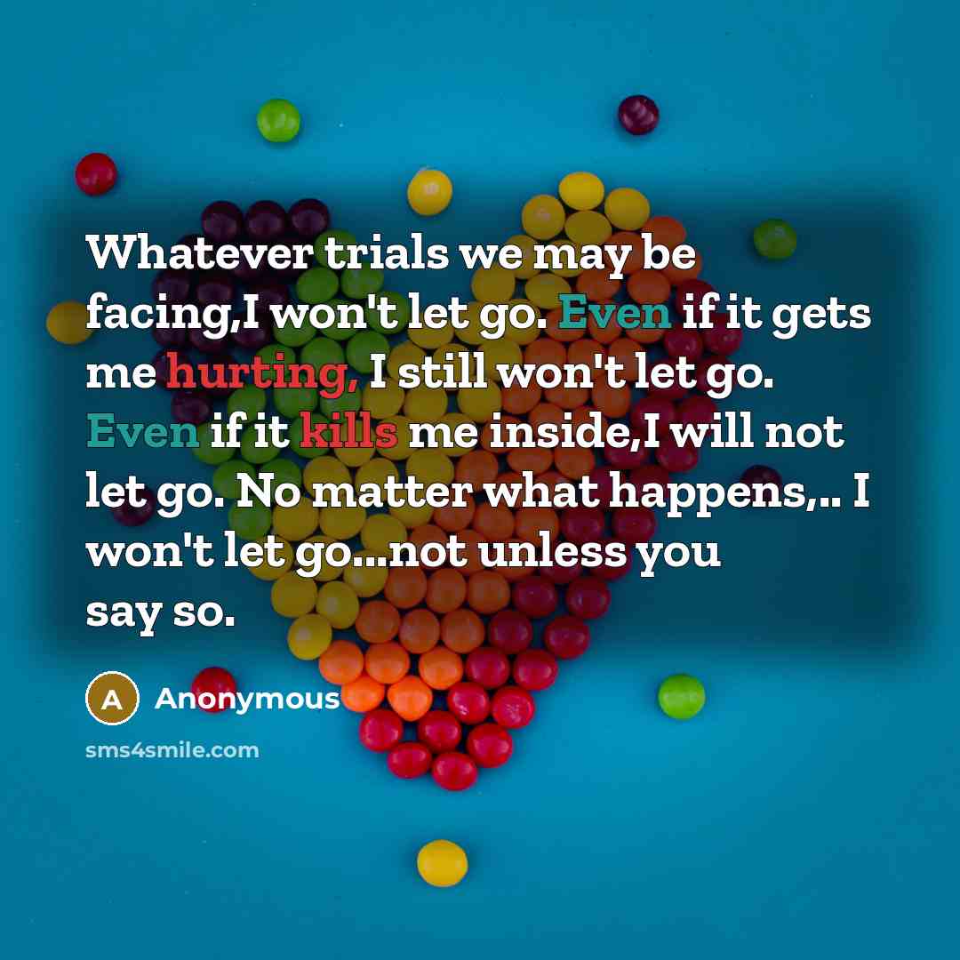 “Whatever trials we may be facing,I won't let go. Even if it gets me hurting, I still won't let go. Even if it kills me inside,I will not let go. No matter what happens,.. I won't let go...not unless you say so.” quote by Anonymous