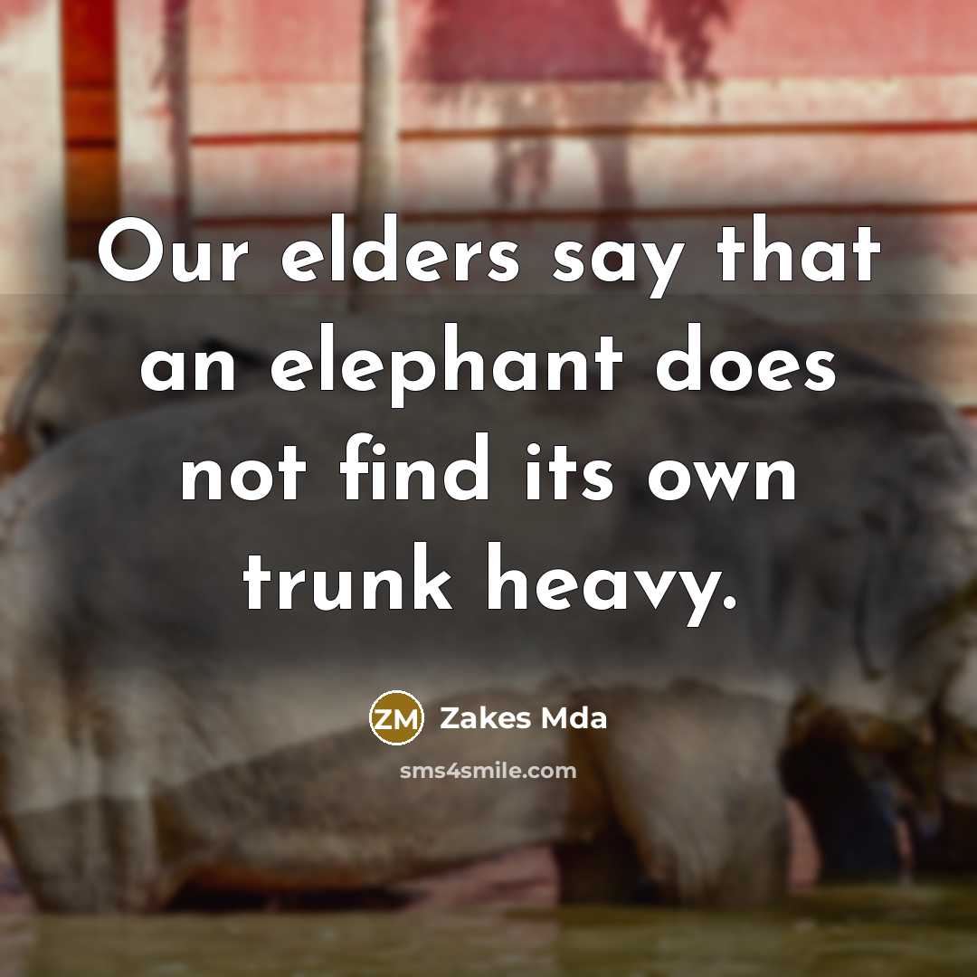 “Our elders say that an elephant does not find its own trunk heavy.” quote by Zakes Mda