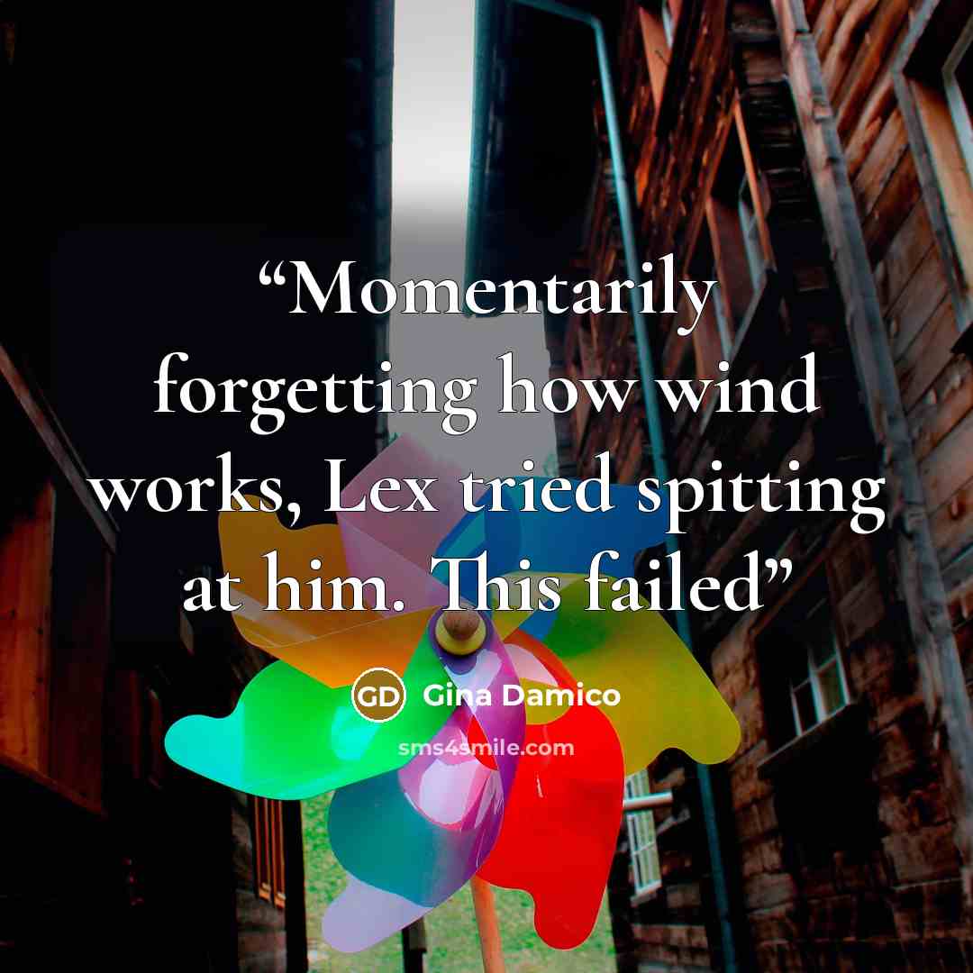 “Momentarily forgetting how wind works, Lex tried spitting at him. This failed” quote by Gina Damico