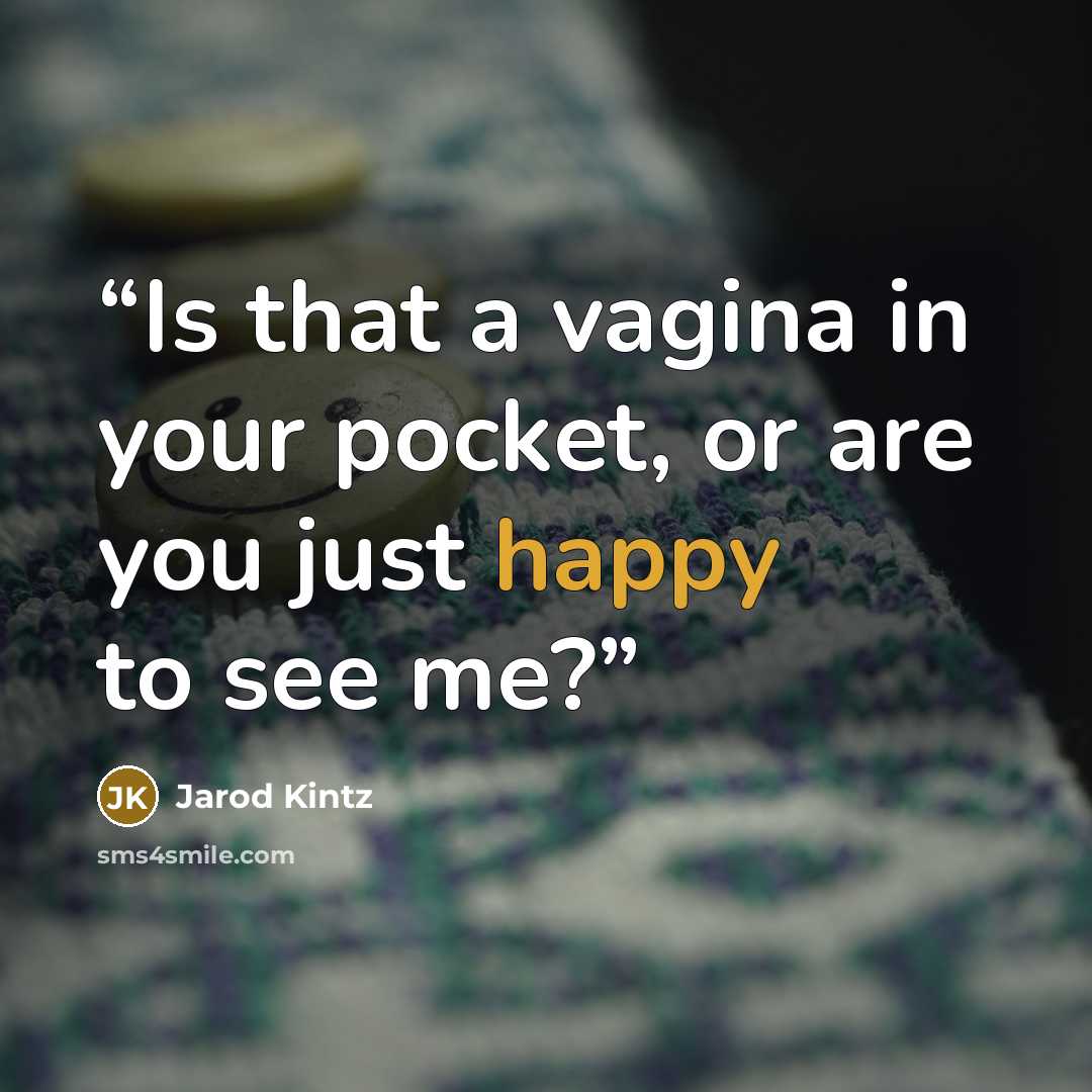 “Is that a vagina in your pocket, or are you just happy to see me?” quote by Jarod Kintz