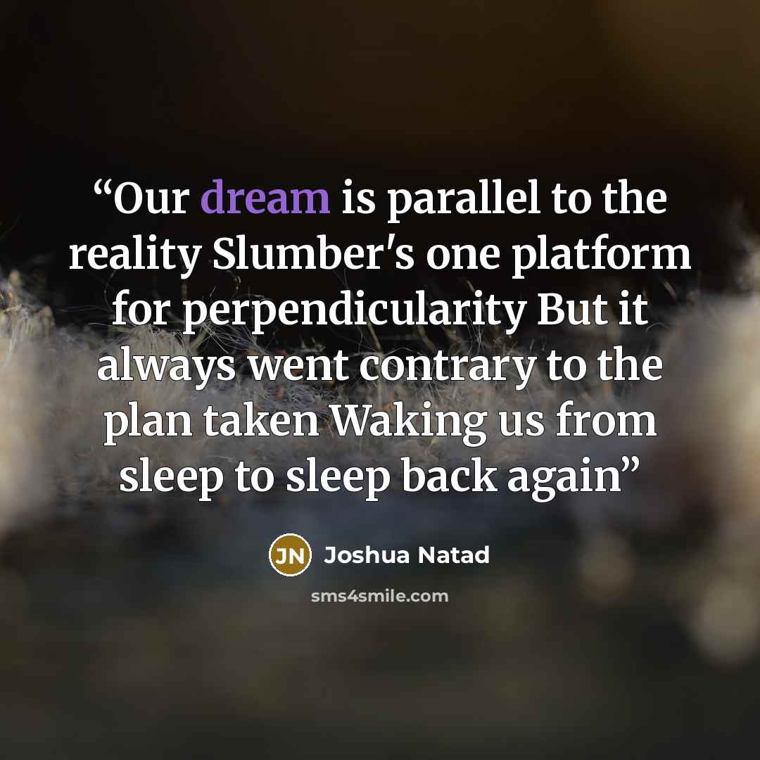 “Our dream is parallel to the reality Slumber's one platform for perpendicularity But it always went contrary to the plan taken Waking us from sleep to sleep back again” quote by Joshua Natad