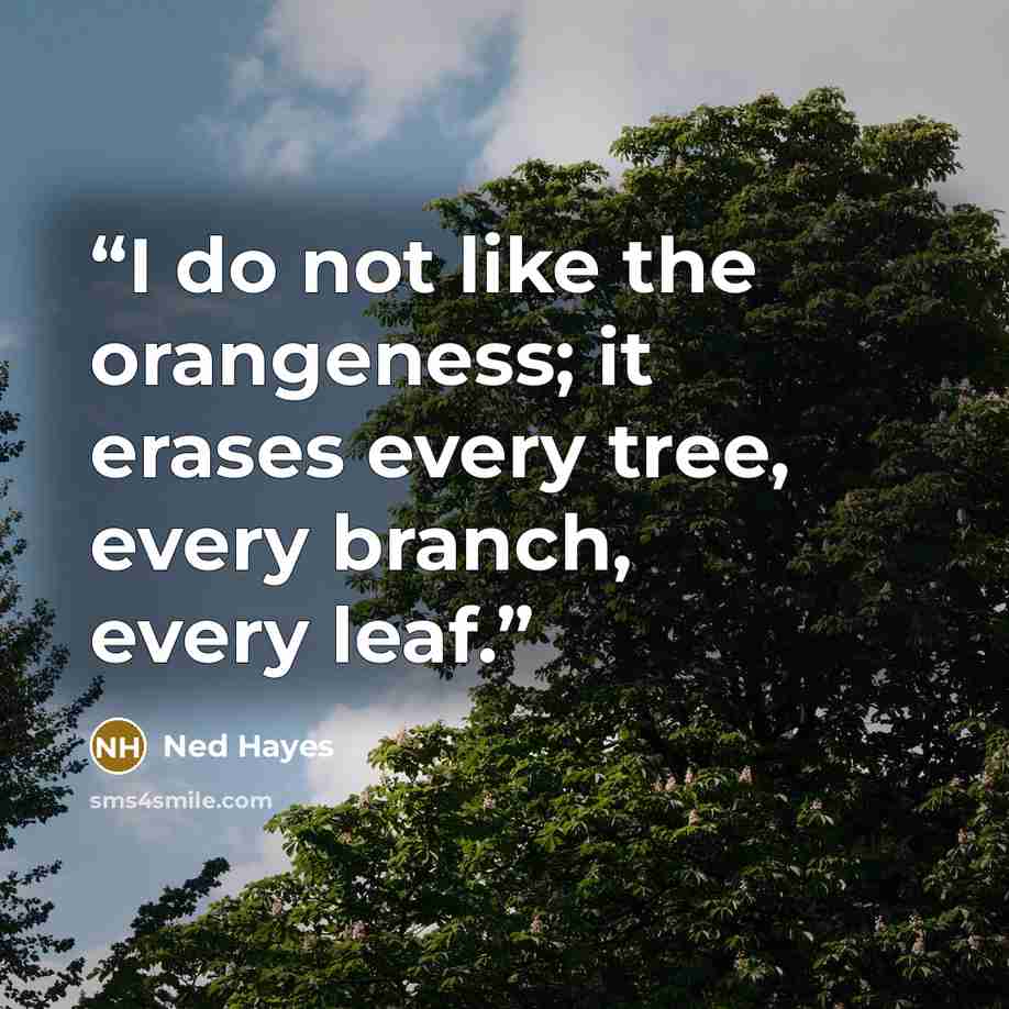 “I do not like the orangeness; it erases every tree, every branch, every leaf.” quote by Ned Hayes