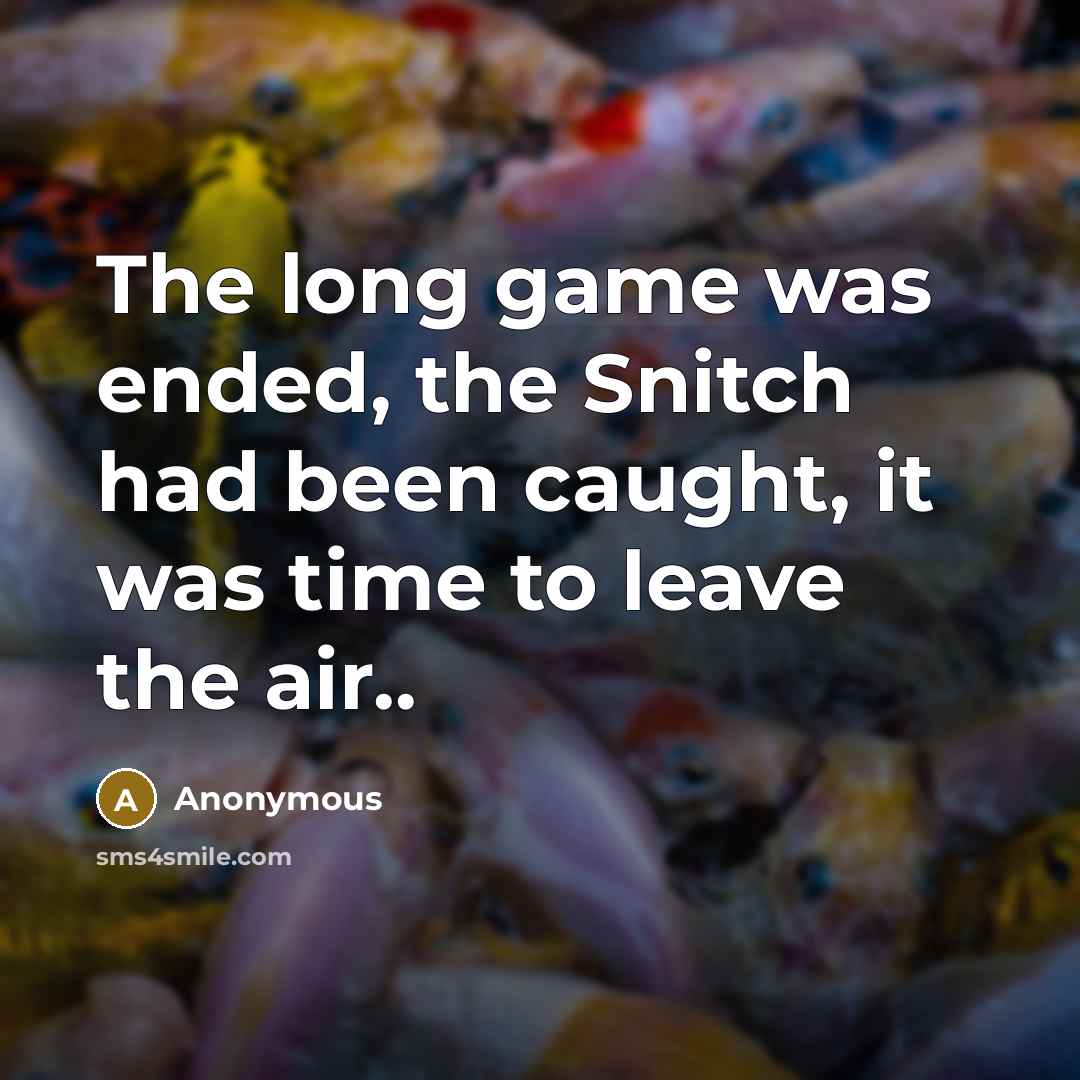 “The long game was ended, the Snitch had been caught, it was time to leave the air..” quote by Anonymous