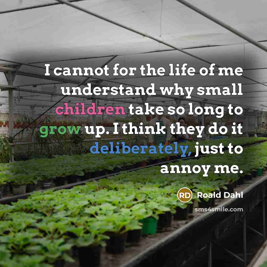“I cannot for the life of me understand why small children take so long to grow up. I think they do it deliberately, just to annoy me.” quote by Roald Dahl