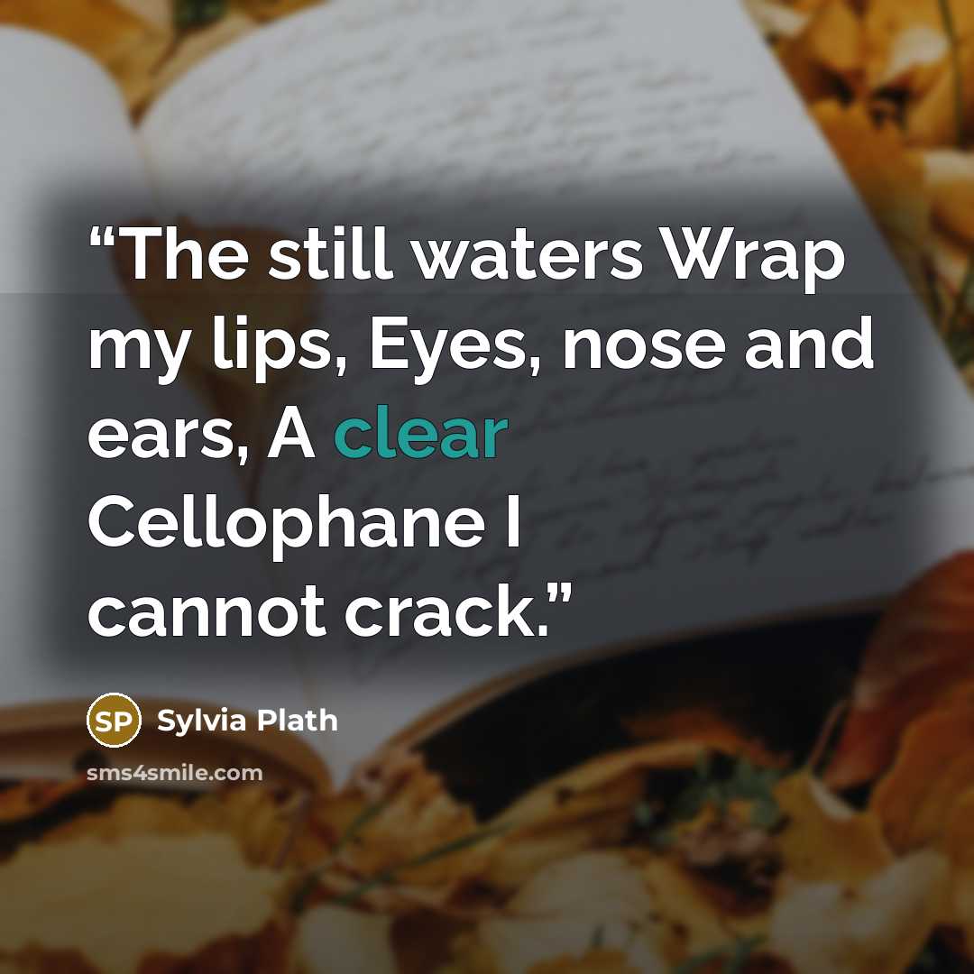 “The still waters Wrap my lips, Eyes, nose and ears, A clear Cellophane I cannot crack.” quote by Sylvia Plath