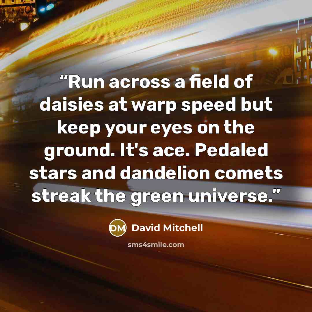 “Run across a field of daisies at warp speed but keep your eyes on the ground. It's ace. Pedaled stars and dandelion comets streak the green universe.” quote by David Mitchell