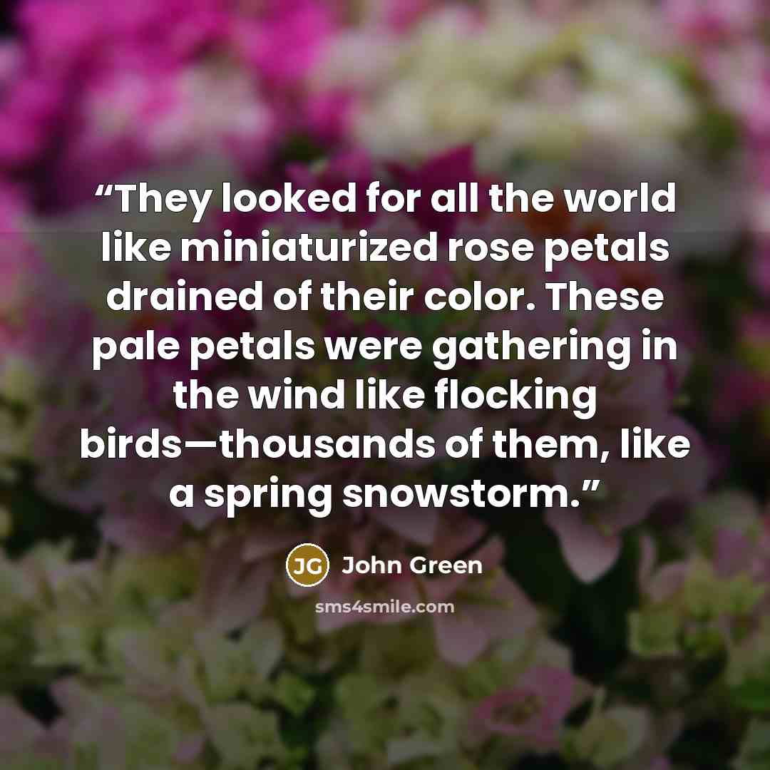 “They looked for all the world like miniaturized rose petals drained of their color. These pale petals were gathering in the wind like flocking birds—thousands of them, like a spring snowstorm.” quote by John Green