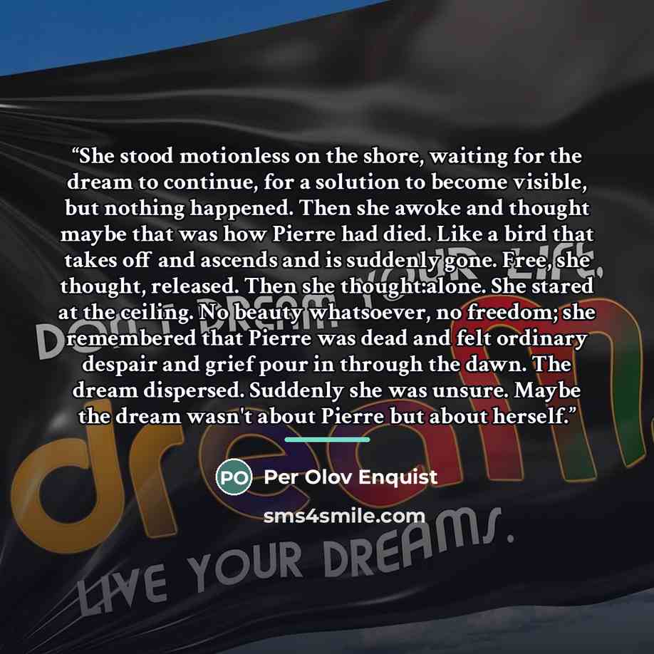 “She stood motionless on the shore, waiting for the dream to continue, for a solution to become visible, but nothing happened. Then she awoke and thought maybe that was how Pierre had died. Like a bird that takes off and ascends and is suddenly gone. Free, she thought, released. Then she…” quote by Per Olov Enquist