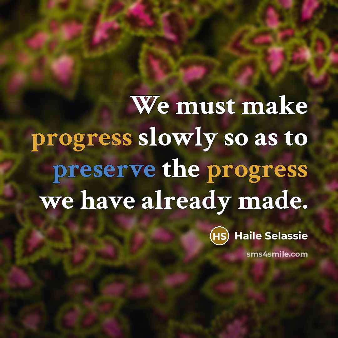 “We must make progress slowly so as to preserve the progress we have already made.” quote by Haile Selassie