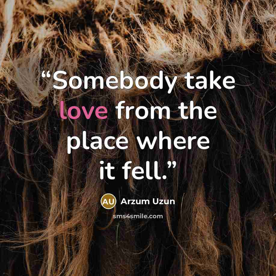 “Somebody take love from the place where it fell.” quote by Arzum Uzun