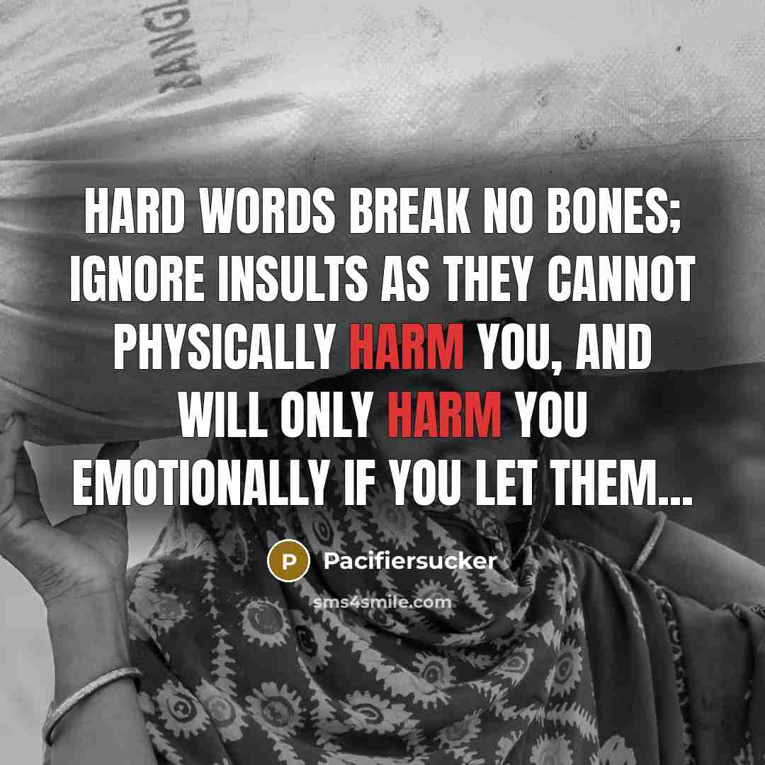 “Hard Words Break No Bones; Ignore Insults As They Cannot Physically Harm You, And Will Only Harm You Emotionally If You Let Them...” quote by Pacifiersucker