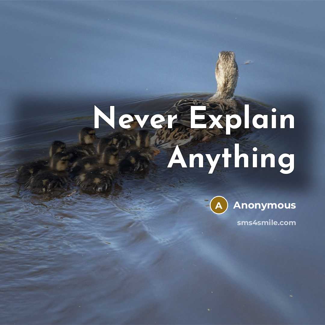 “Never Explain Anything” quote by Anonymous