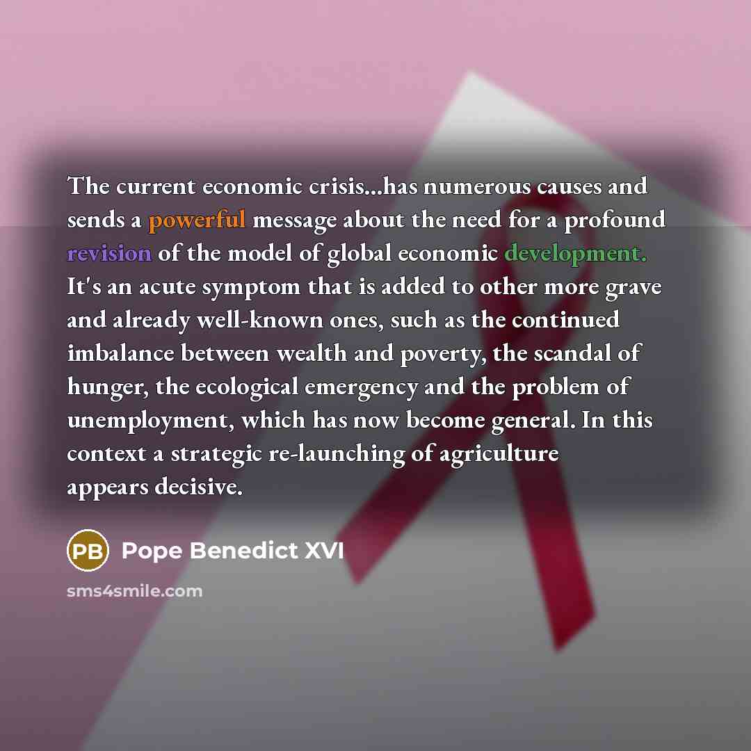 “The current economic crisis...has numerous causes and sends a powerful message about the need for a profound revision of the model of global economic development. It's an acute symptom that is added to other more grave and already well-known ones, such as the continued imbalance between wealth and…” quote by Pope Benedict XVI