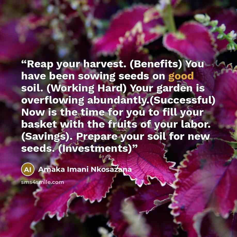 “Reap your harvest. (Benefits) You have been sowing seeds on good soil. (Working Hard) Your garden is overflowing abundantly.(Successful) Now is the time for you to fill your basket with the fruits of your labor. (Savings). Prepare your soil for new seeds. (Investments)” quote by Amaka Imani Nkosazana