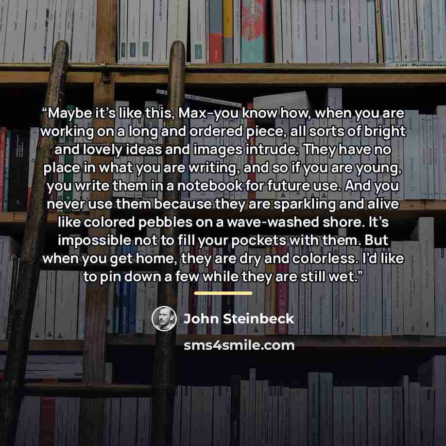 “Maybe it’s like this, Max--you know how, when you are working on a long and ordered piece, all sorts of bright and lovely ideas and images intrude. They have no place in what you are writing, and so if you are young, you write them in a notebook for future use. And you never use them because they…” quote by John Steinbeck