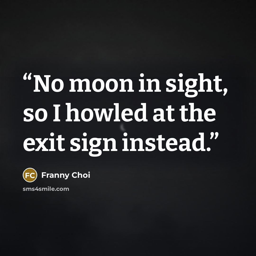“No moon in sight, so I howled at the exit sign instead.” quote by Franny Choi