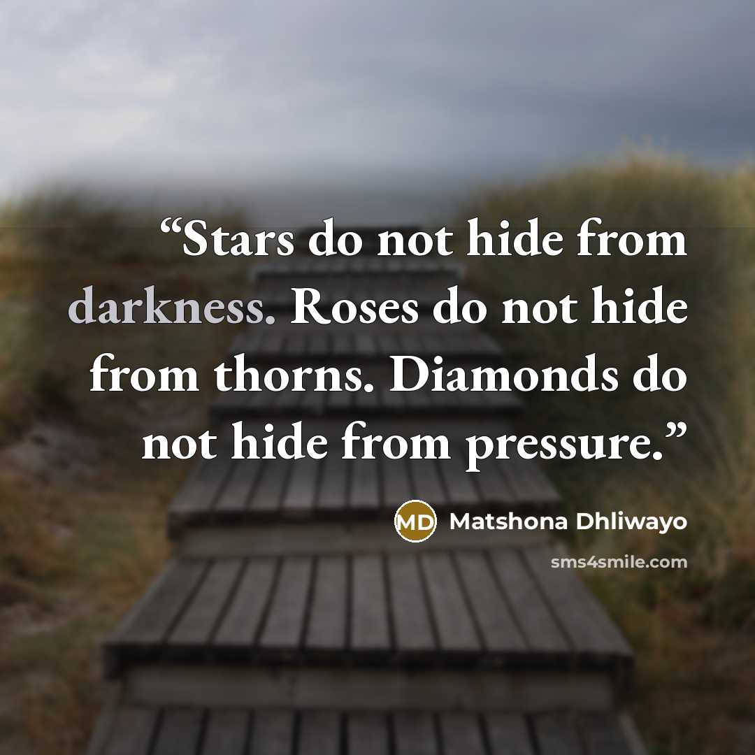 “Stars do not hide from darkness. Roses do not hide from thorns. Diamonds do not hide from pressure.” quote by Matshona Dhliwayo