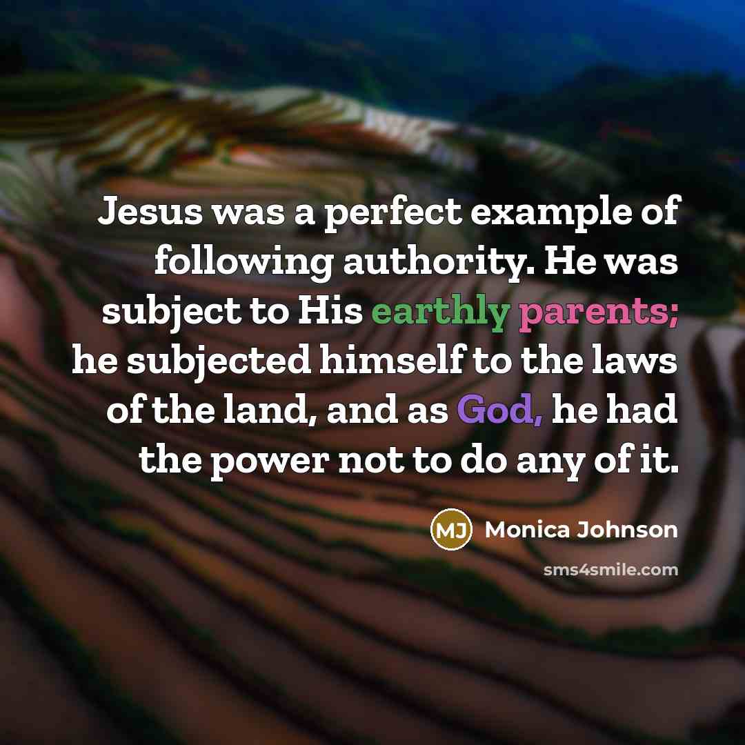 “Jesus was a perfect example of following authority. He was subject to His earthly parents; he subjected himself to the laws of the land, and as God, he had the power not to do any of it.” quote by Monica Johnson