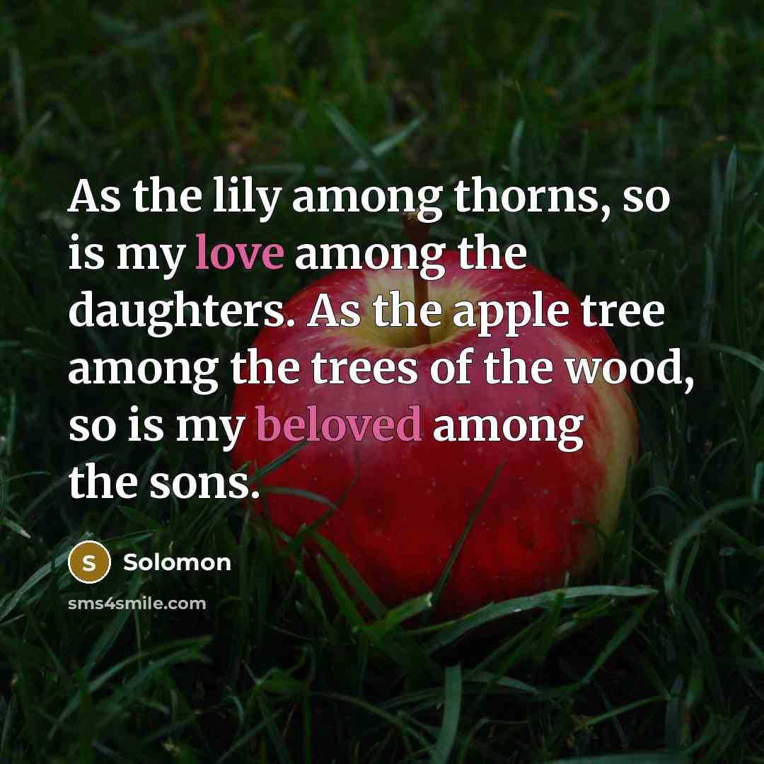 “As the lily among thorns, so is my love among the daughters. As the apple tree among the trees of the wood, so is my beloved among the sons.” quote by Solomon