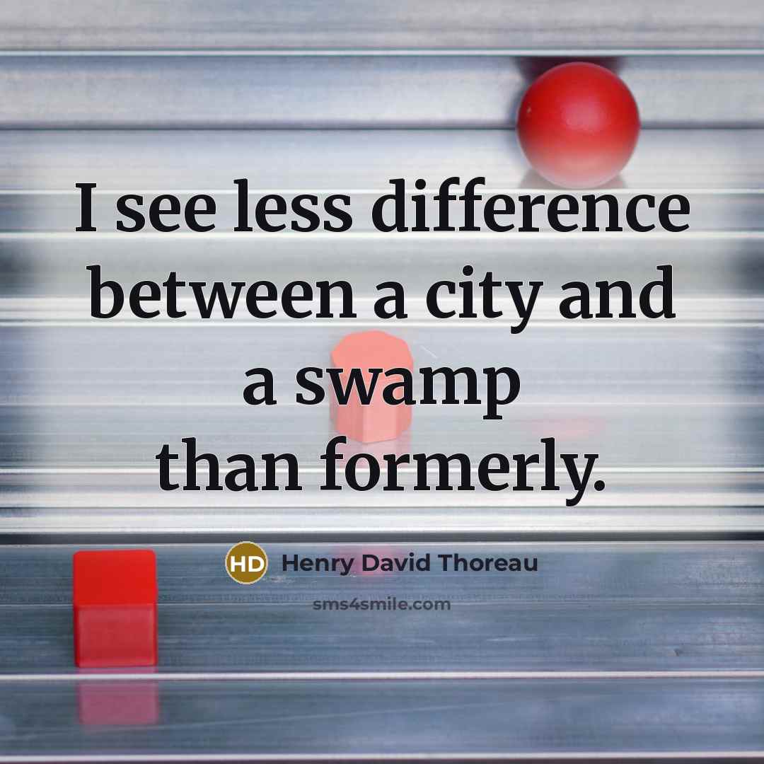 “I see less difference between a city and a swamp than formerly.” quote by Henry David Thoreau