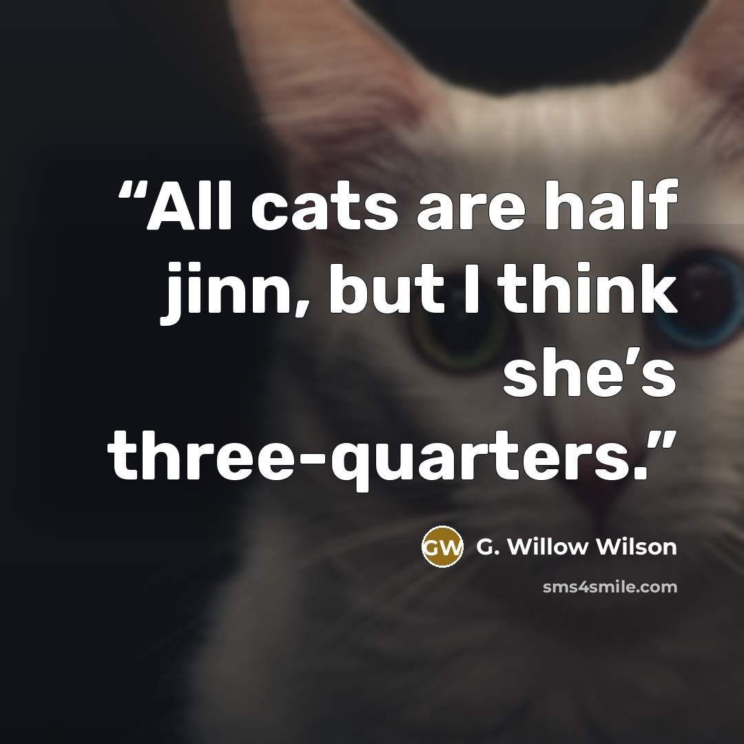 “All cats are half jinn, but I think she’s three-quarters.” quote by G. Willow Wilson