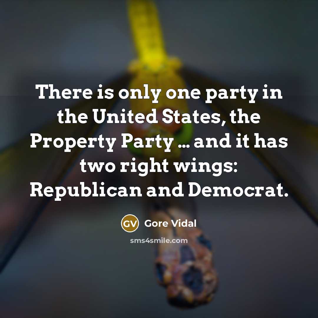 “There is only one party in the United States, the Property Party … and it has two right wings: Republican and Democrat.” quote by Gore Vidal