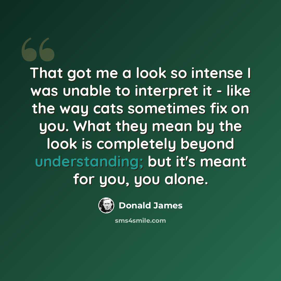 “That got me a look so intense I was unable to interpret it - like the way cats sometimes fix on you. What they mean by the look is completely beyond understanding; but it's meant for you, you alone.” quote by Donald James