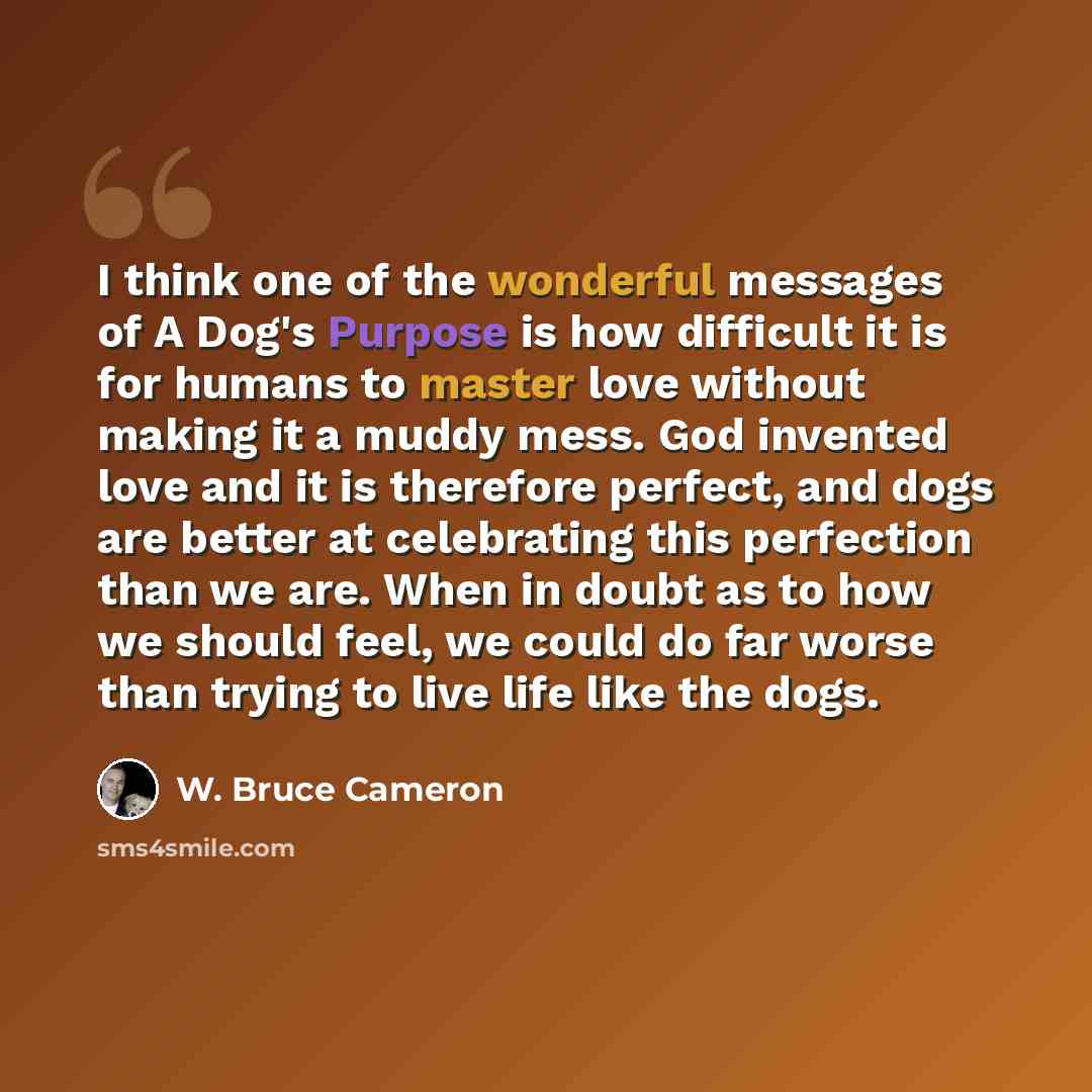 “I think one of the wonderful messages of A Dog's Purpose is how difficult it is for humans to master love without making it a muddy mess. God invented love and it is therefore perfect, and dogs are better at celebrating this perfection than we are. When in doubt as to how we should feel, we could…” quote by W. Bruce Cameron