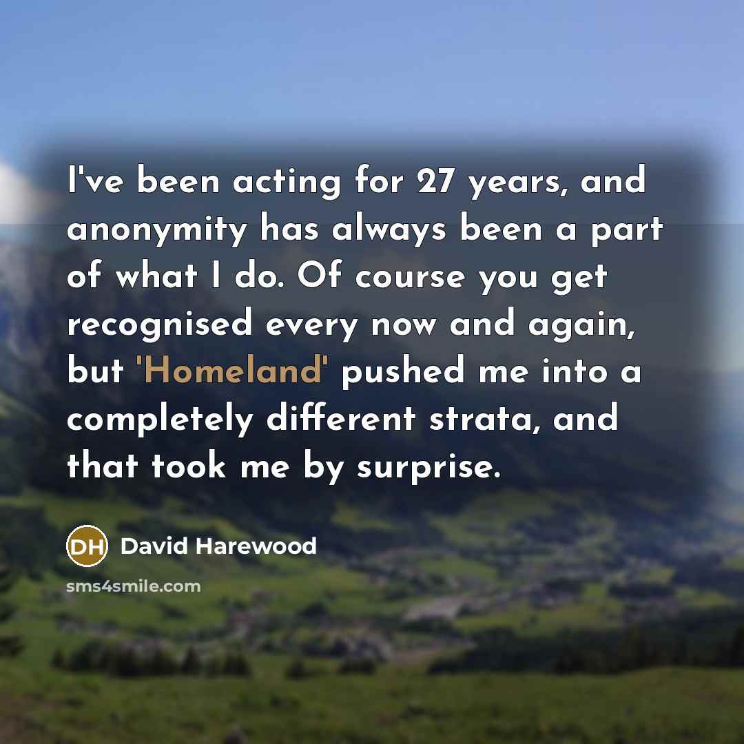 “I've been acting for 27 years, and anonymity has always been a part of what I do. Of course you get recognised every now and again, but 'Homeland' pushed me into a completely different strata, and that took me by surprise.” quote by David Harewood