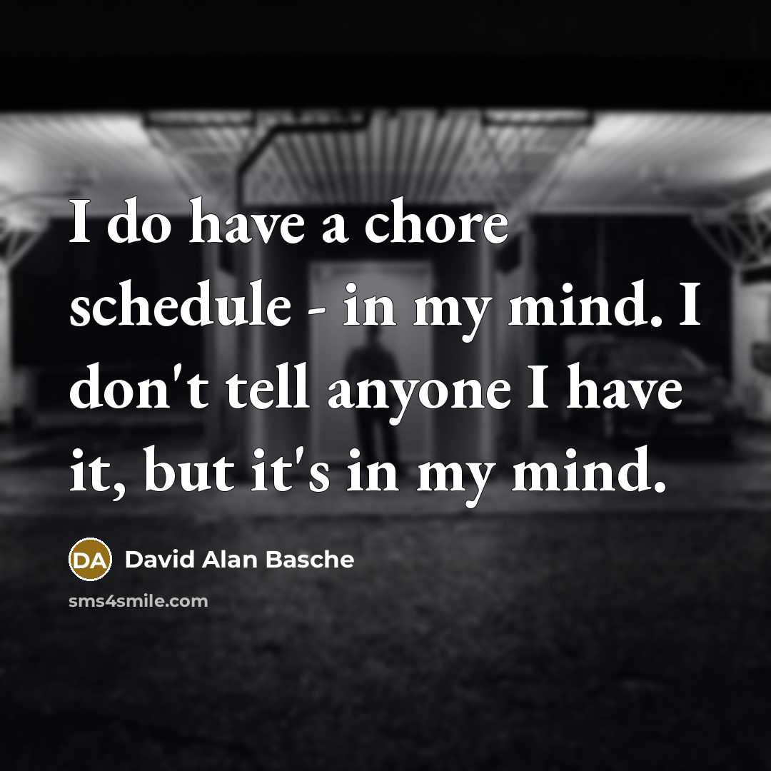 “I do have a chore schedule - in my mind. I don't tell anyone I have it, but it's in my mind.” quote by David Alan Basche