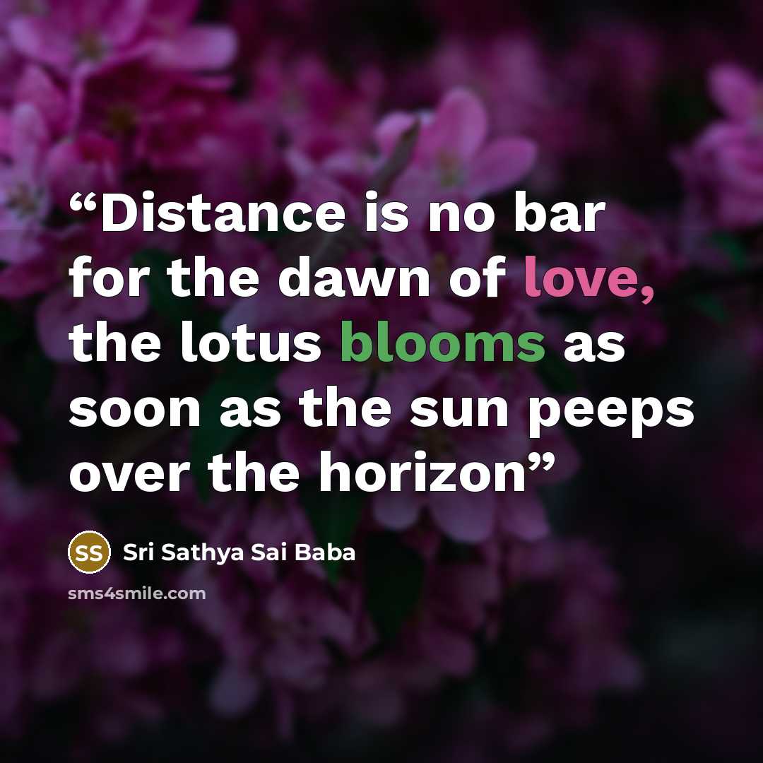 “Distance is no bar for the dawn of love, the lotus blooms as soon as the sun peeps over the horizon” quote by Sri Sathya Sai Baba