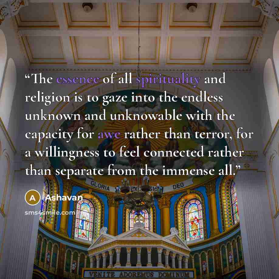 “The essence of all spirituality and religion is to gaze into the endless unknown and unknowable with the capacity for awe rather than terror, for a willingness to feel connected rather than separate from the immense all.” quote by Ashavan