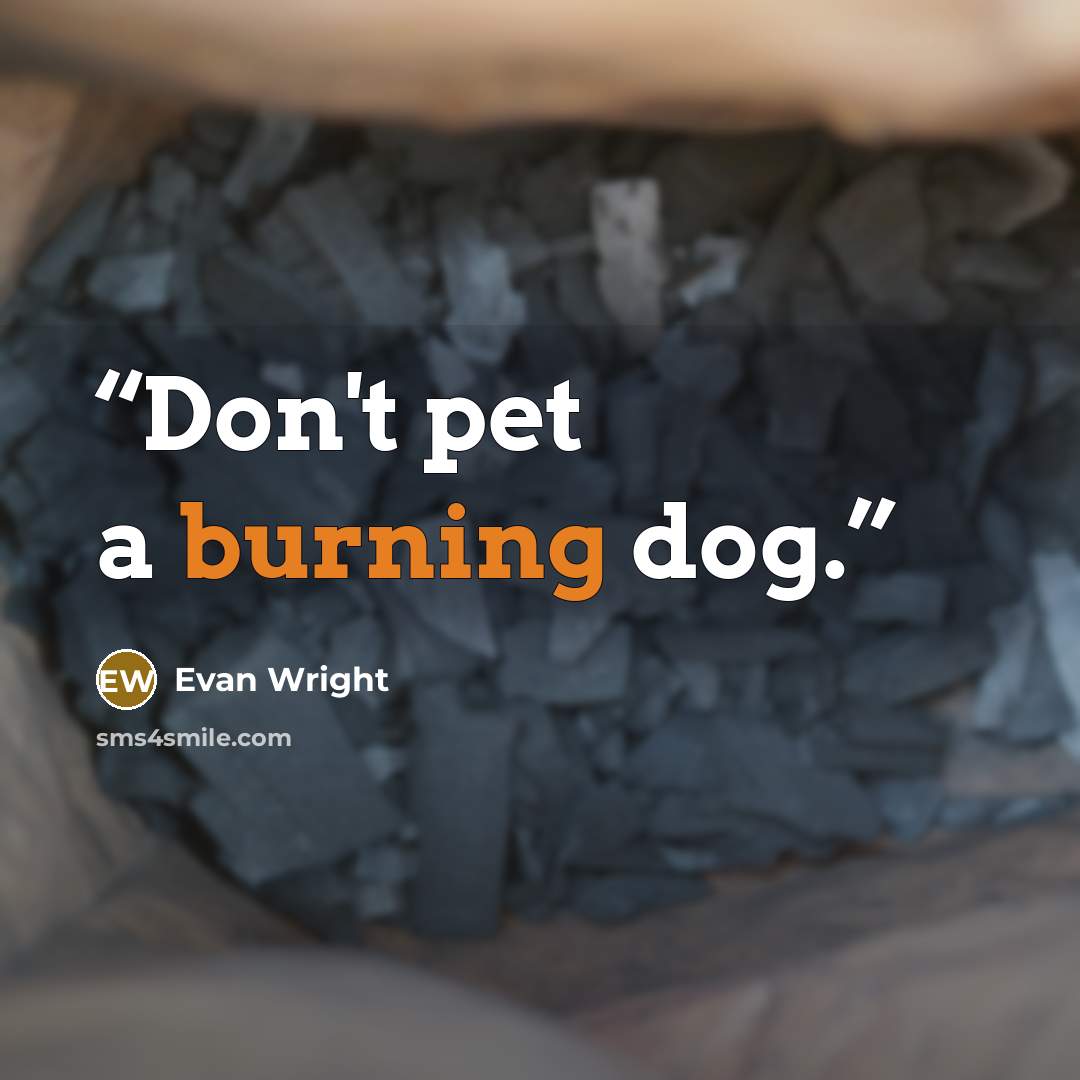 “Don't pet a burning dog.” quote by Evan Wright