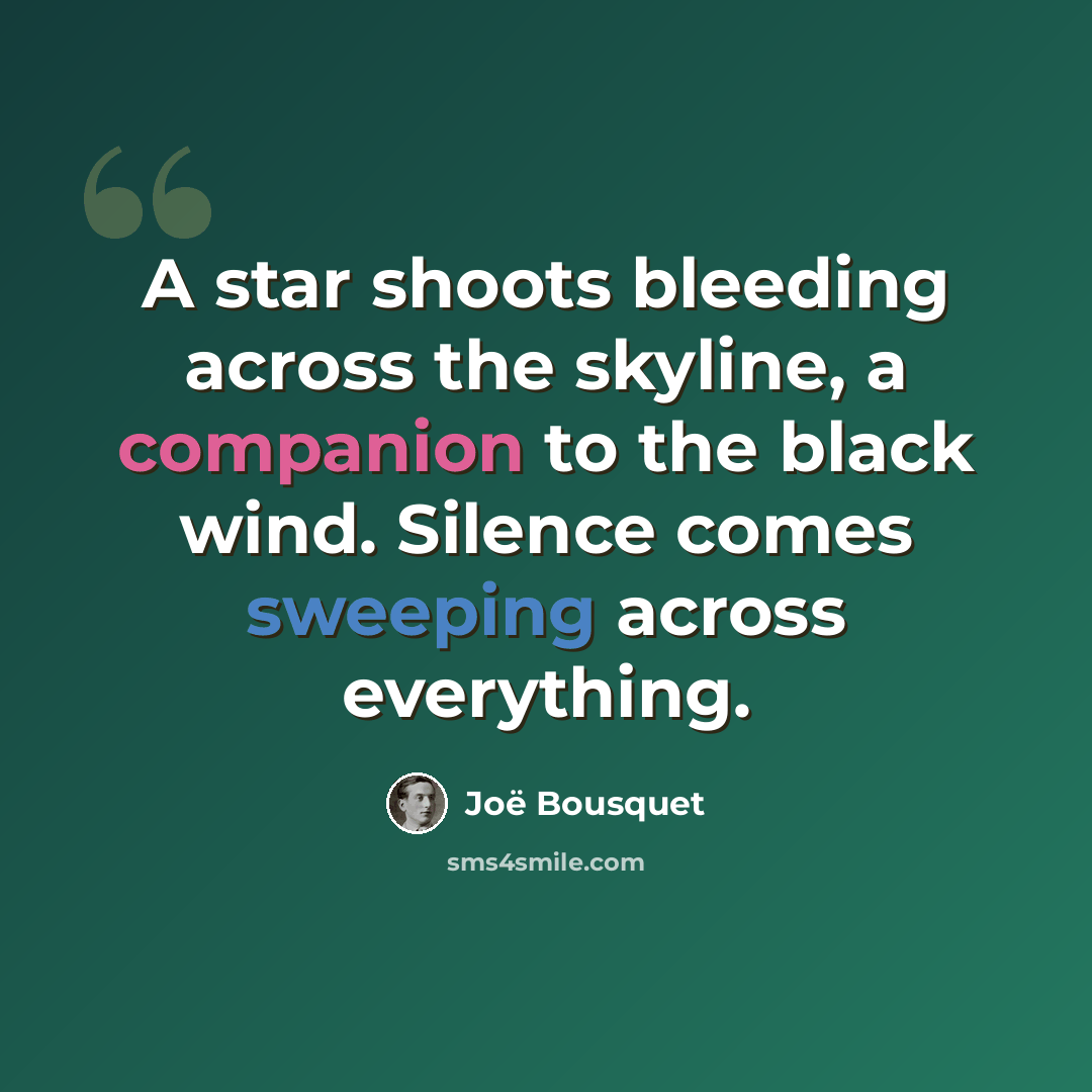 “A star shoots bleeding across the skyline, a companion to the black wind. Silence comes sweeping across everything.” quote by Joë Bousquet