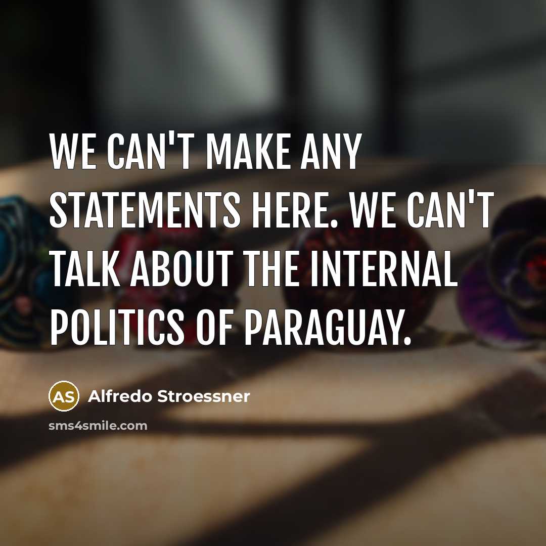 “We can't make any statements here. We can't talk about the internal politics of Paraguay.” quote by Alfredo Stroessner