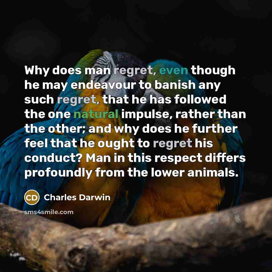 “Why does man regret, even though he may endeavour to banish any such regret, that he has followed the one natural impulse, rather than the other; and why does he further feel that he ought to regret his conduct? Man in this respect differs profoundly from the lower animals.” quote by Charles Darwin