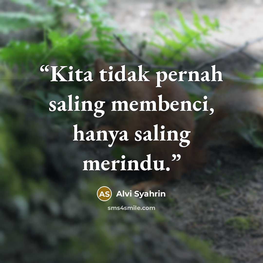 “Kita tidak pernah saling membenci, hanya saling merindu.” quote by Alvi Syahrin