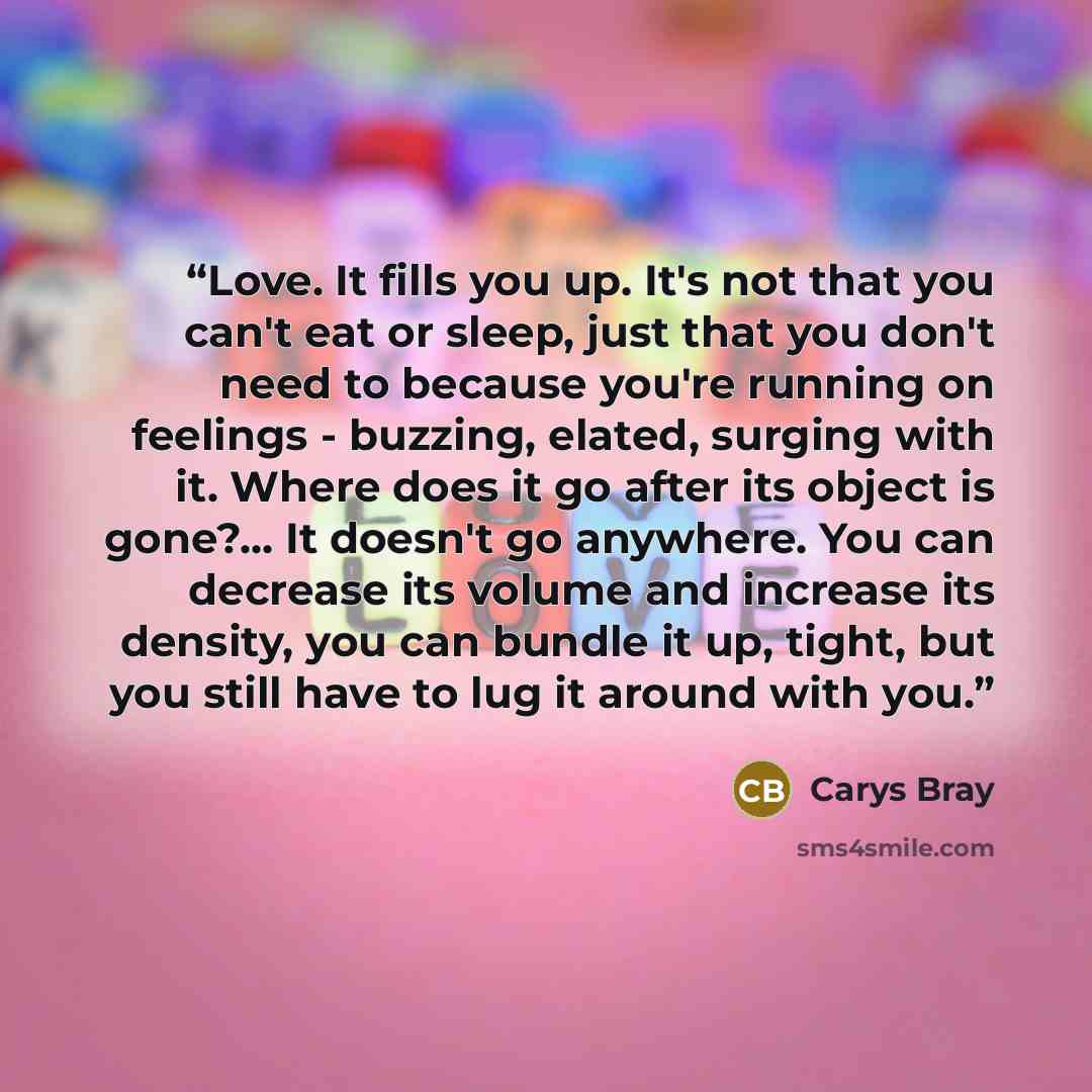 “Love. It fills you up. It's not that you can't eat or sleep, just that you don't need to because you're running on feelings - buzzing, elated, surging with it. Where does it go after its object is gone?... It doesn't go anywhere. You can decrease its volume and increase its density, you can bundle…” quote by Carys Bray