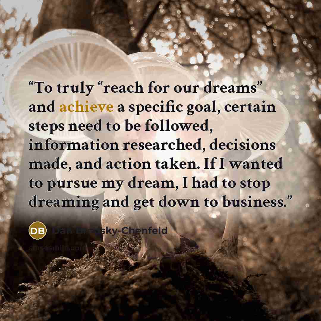 “To truly “reach for our dreams” and achieve a specific goal, certain steps need to be followed, information researched, decisions made, and action taken. If I wanted to pursue my dream, I had to stop dreaming and get down to business.” quote by Dan Brodsky-Chenfeld