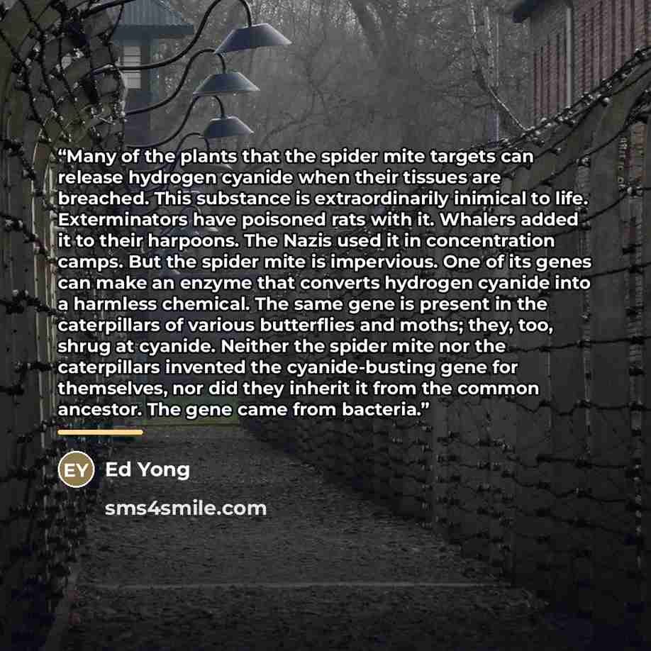 “Many of the plants that the spider mite targets can release hydrogen cyanide when their tissues are breached. This substance is extraordinarily inimical to life. Exterminators have poisoned rats with it. Whalers added it to their harpoons. The Nazis used it in concentration camps. But the spider…” quote by Ed Yong