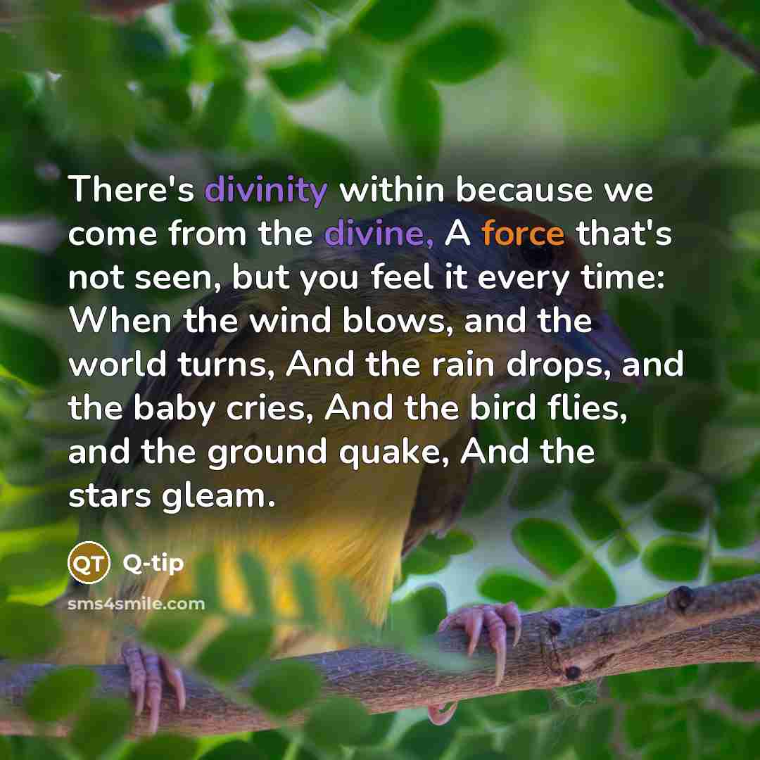“There's divinity within because we come from the divine, A force that's not seen, but you feel it every time: When the wind blows, and the world turns, And the rain drops, and the baby cries, And the bird flies, and the ground quake, And the stars gleam.” quote by Q-Tip
