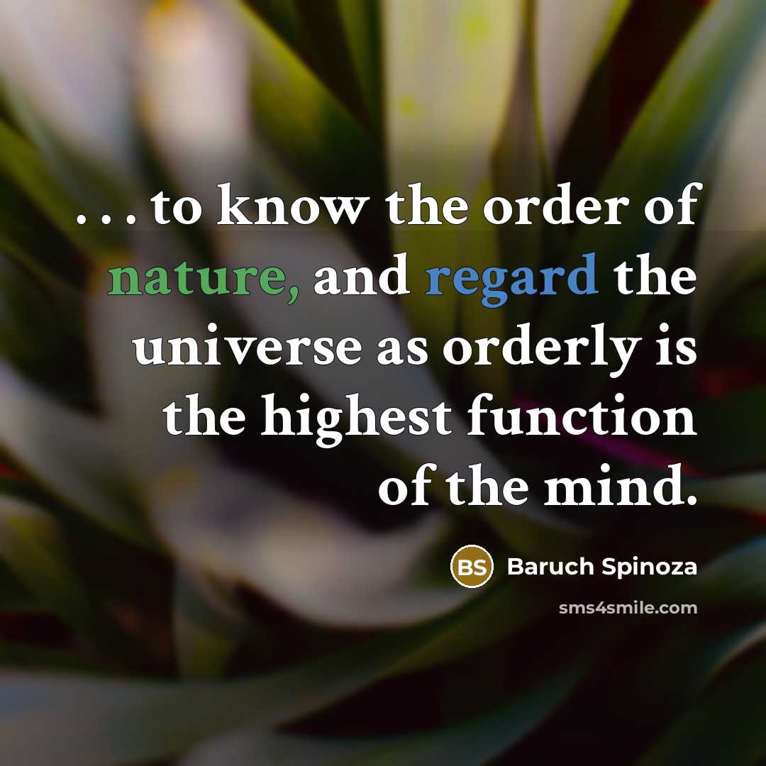 “. . . to know the order of nature, and regard the universe as orderly is the highest function of the mind.” quote by Baruch Spinoza