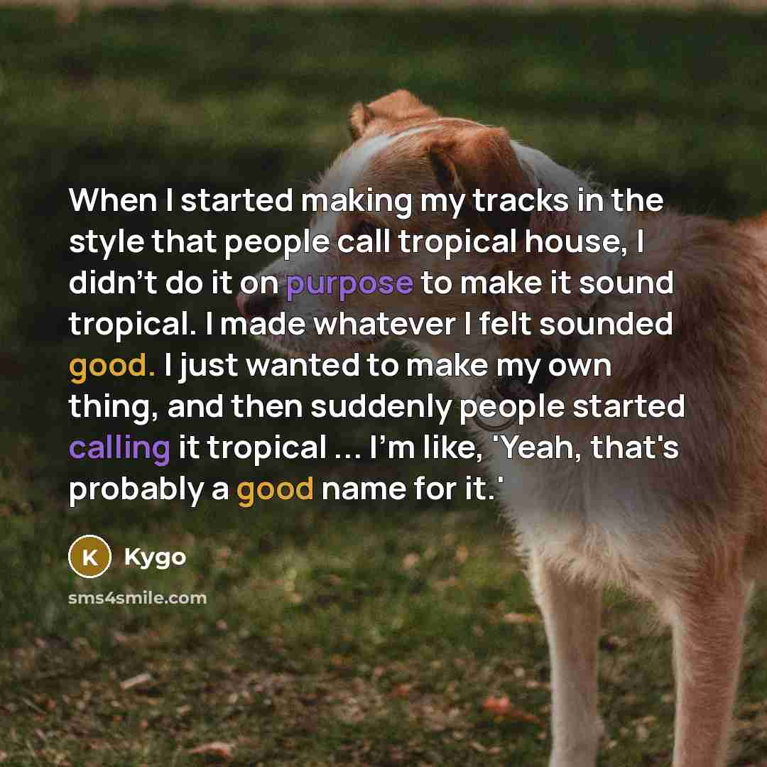 “When I started making my tracks in the style that people call tropical house, I didn't do it on purpose to make it sound tropical. I made whatever I felt sounded good. I just wanted to make my own thing, and then suddenly people started calling it tropical ... I'm like, 'Yeah, that's probably a…” quote by Kygo