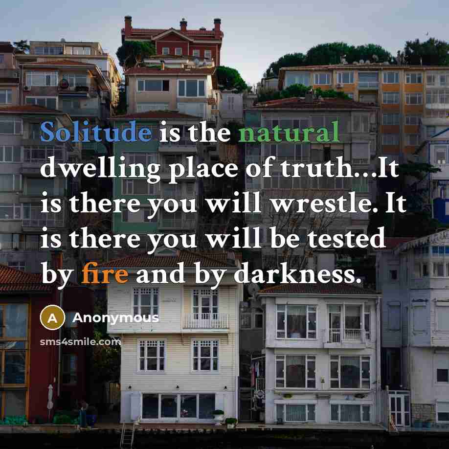 “Solitude is the natural dwelling place of truth…It is there you will wrestle. It is there you will be tested by fire and by darkness.” quote by Anonymous